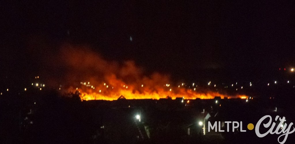 Пожар на поле между Константиновкой и Вознесенкой 15 июля 2019 года