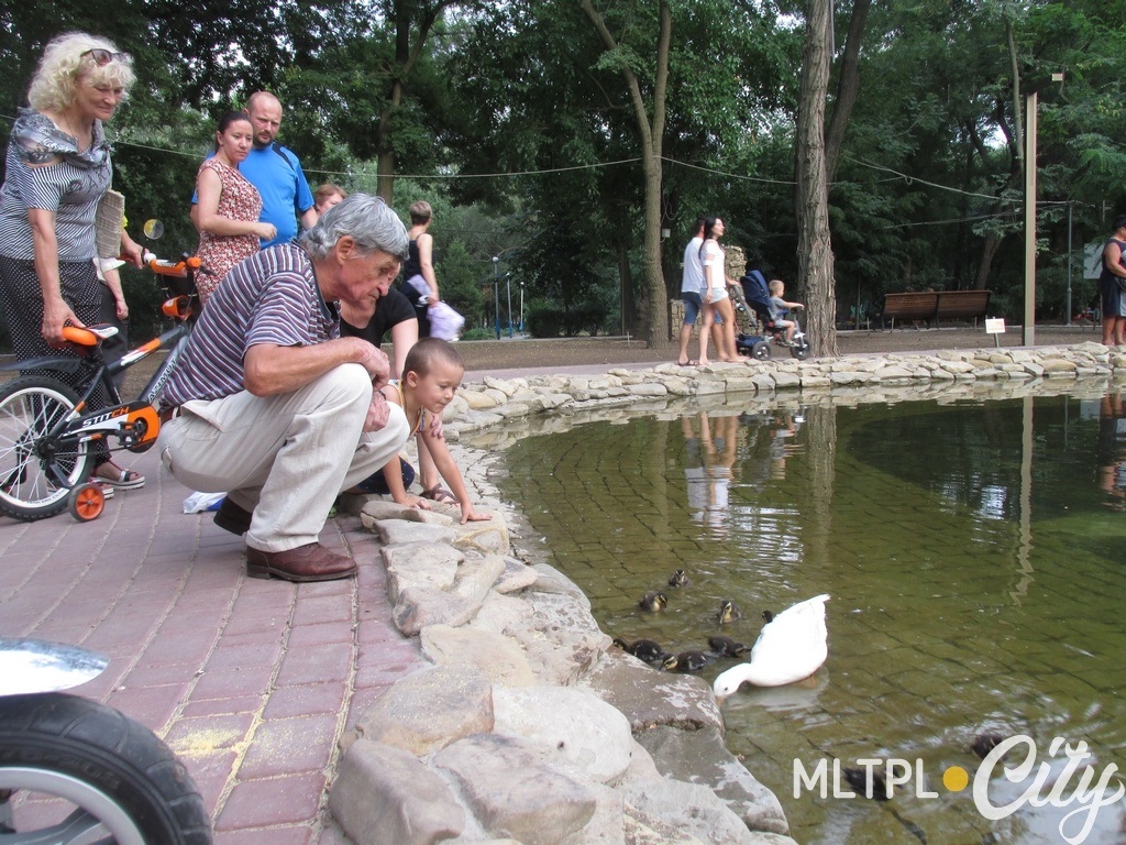 Мелитополь за последние годы изменился в лучшую сторону