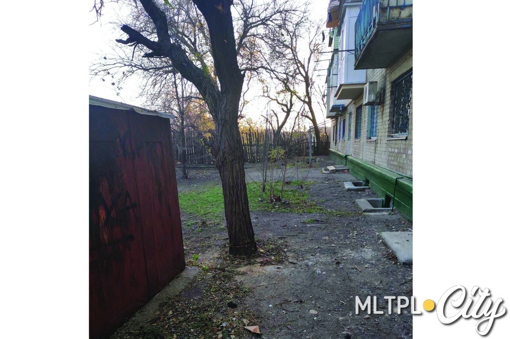 Мужчина решил спилить дерево посреди города на дрова