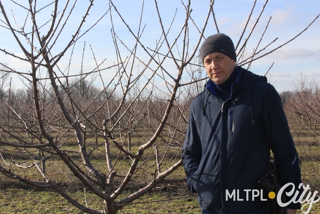 Владимир Сенин: "Эту зиму можно сравнить с обычной крымской зимой"