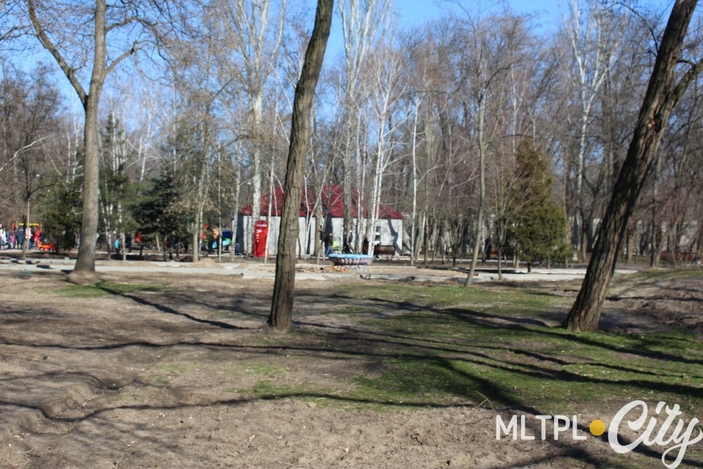 Недалеко от администрации парка территория вычищена до блеска