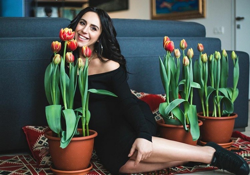 Так выглядят тюльпаны сорта Jamala