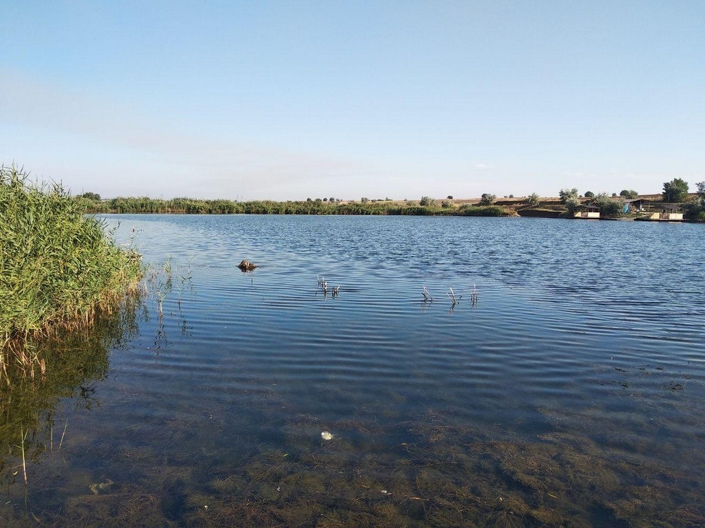 На ставке за селом Большая Белозерка водолазы нашли тело мужчины без признаков жизни 