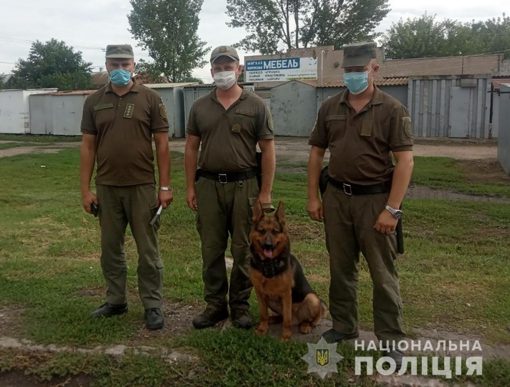 Пропавшую девочку удалось найти