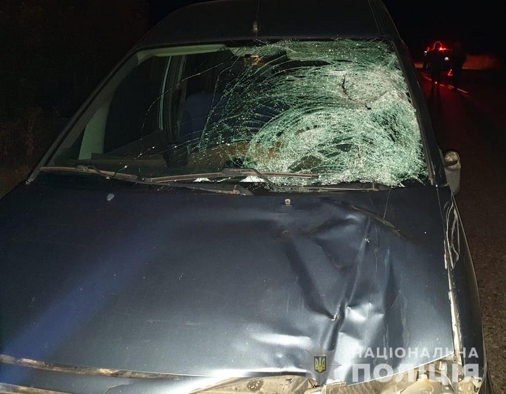 Мелитопольским отделом полиции возбуждены уголовные производства
