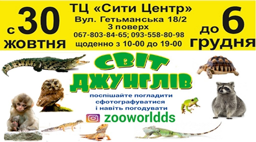 Выставка работает в ТЦ "Сити"