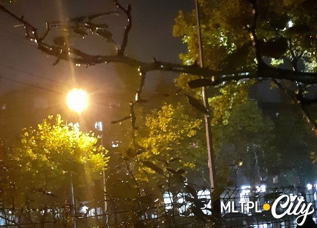 В волшебном свете фонарей