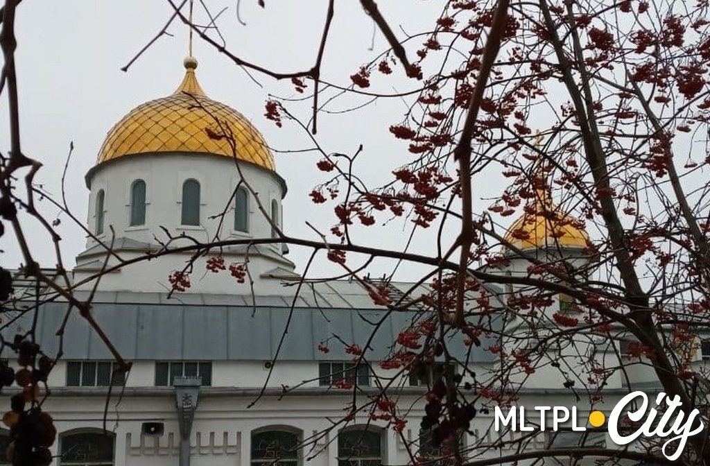 Монастырская рябина горькая и полезная