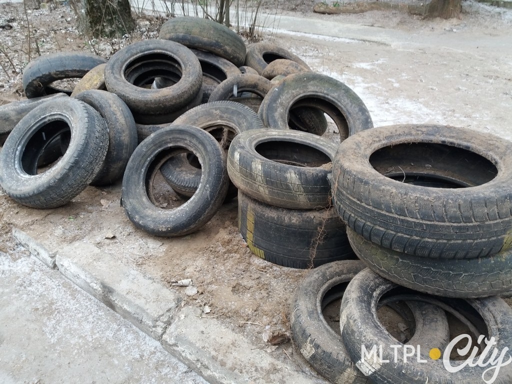 Згідно з відповіддю TOВ «ПБК «АКВІ-БУД», подальша доля скатів незрозуміла