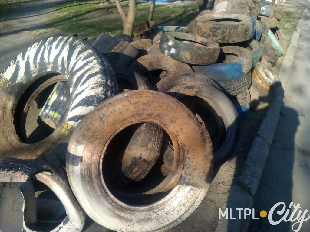 Згідно з відповіддю TOВ «ПБК «АКВІ-БУД», подальша доля скатів незрозуміла